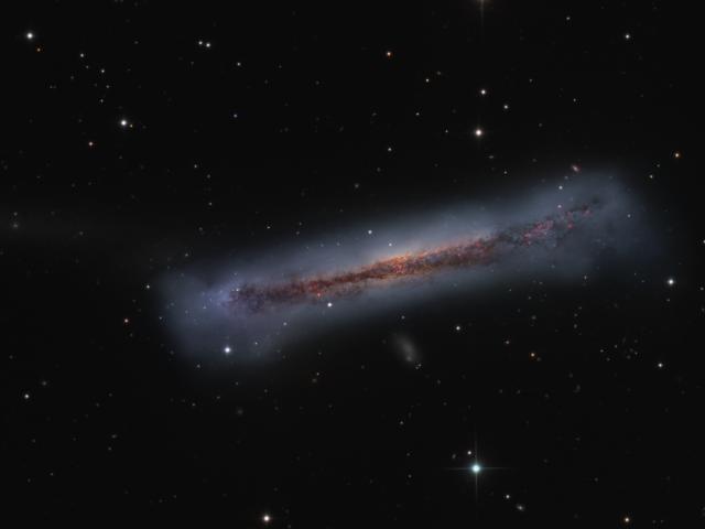 The Tail of the Hamburger Galaxy