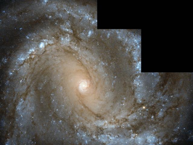 In the Center of Spiral Galaxy M61