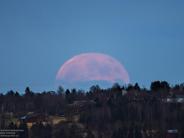 A Strawberry Moon