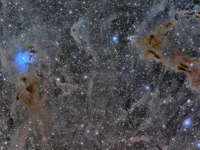 The Iris Nebula in a Field of Dust