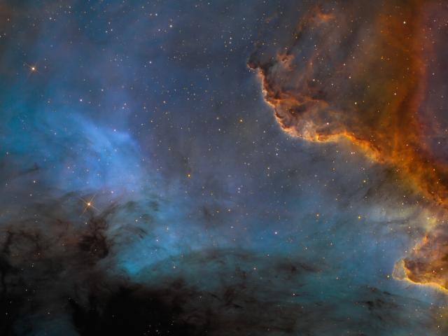 Along the Cygnus Wall