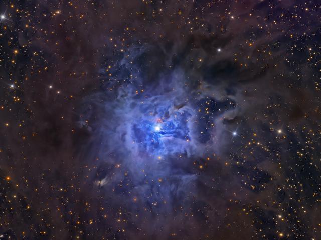 NGC 7023: The Iris Nebula