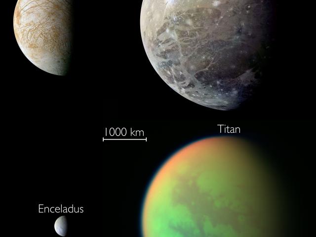 Potentially Habitable Moons