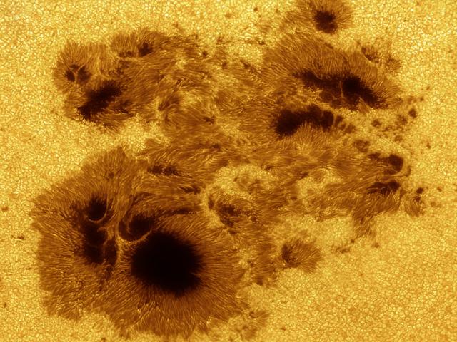 AR 2192: Giant on the Sun