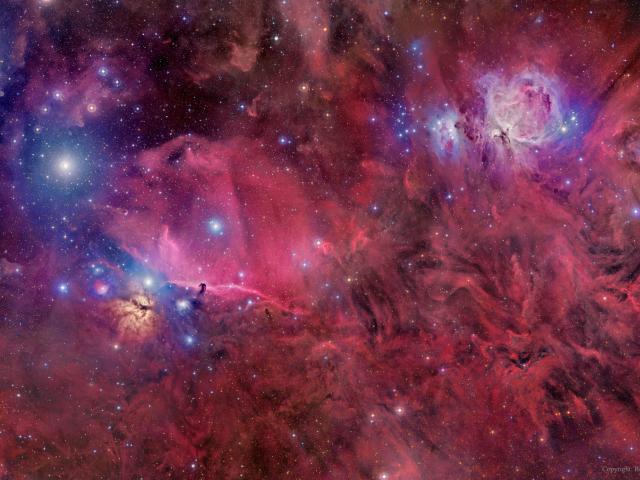 Orion in Gas, Dust, and Stars