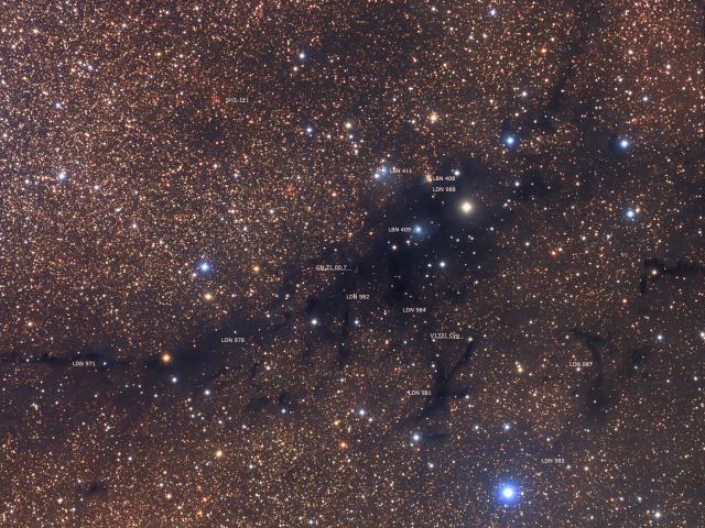 LDN 988: Dark Nebula in Cygnus