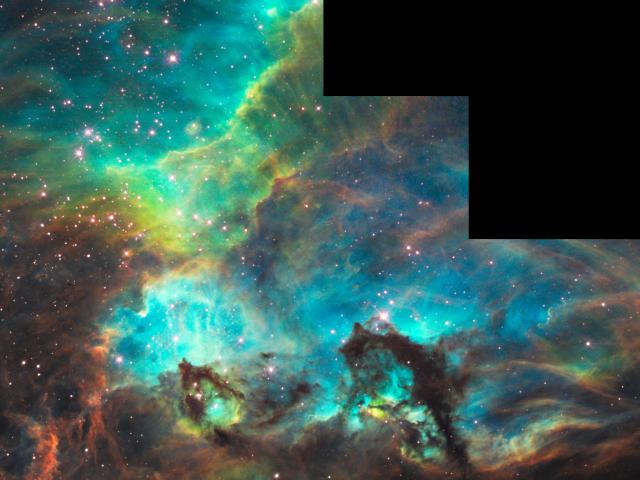 The Seahorse of the Large Magellanic Cloud