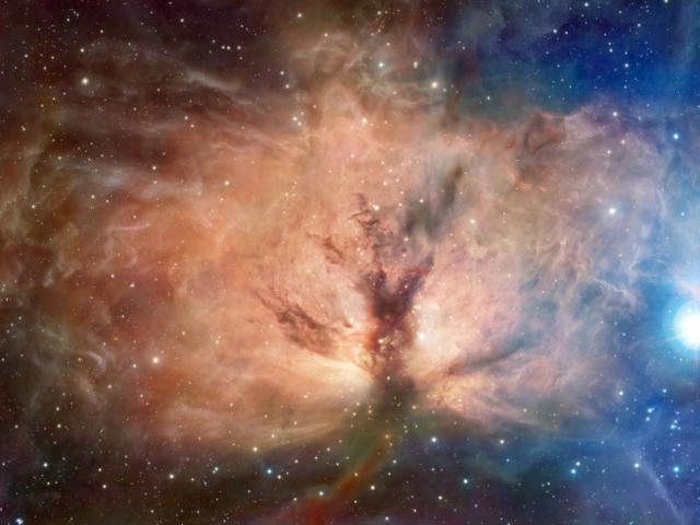 The Flame Nebula in Visible and Infrared