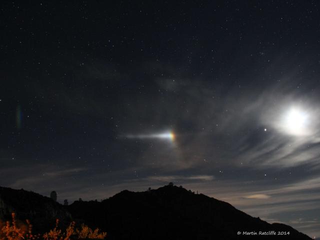 Moondog Night