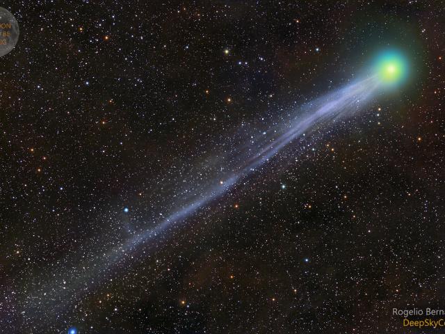 Comet Lovejoy’s Tail