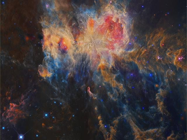 Infrared Orion from WISE