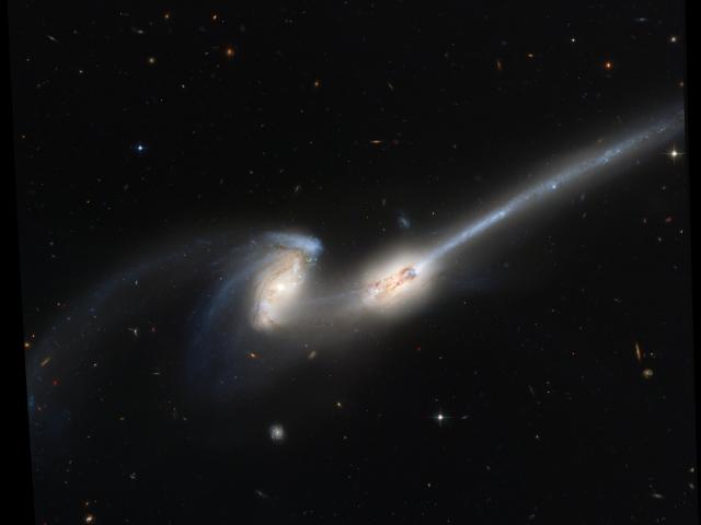 NGC 4676: When Mice Collide
