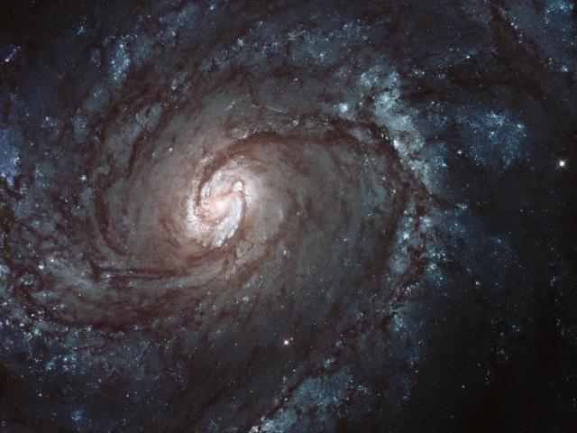 M100: A Grand Design Spiral Galaxy