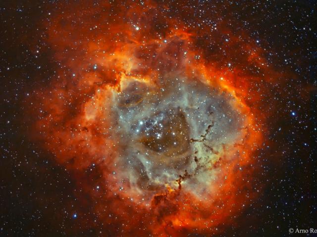 The Rosette Nebula in Hydrogen and Oxygen
