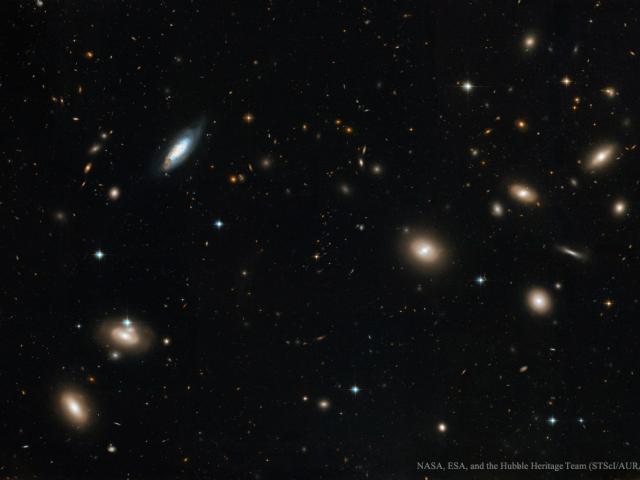 Inside the Coma Cluster of Galaxies