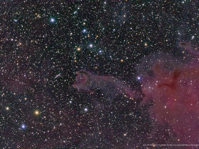 Cometary Globule CG4