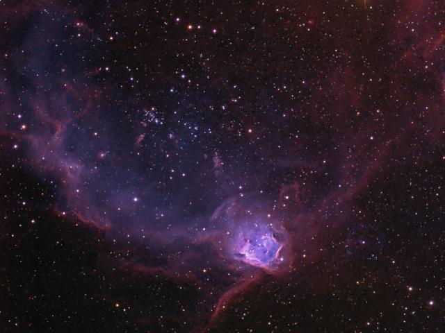 NGC 602 in the Flying Lizard Nebula