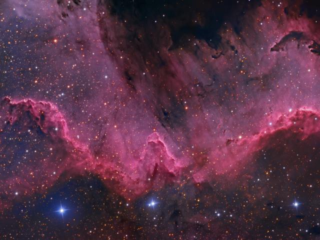 Along the Cygnus Wall