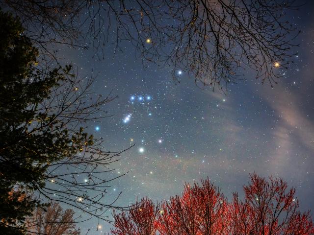 Orion Spring