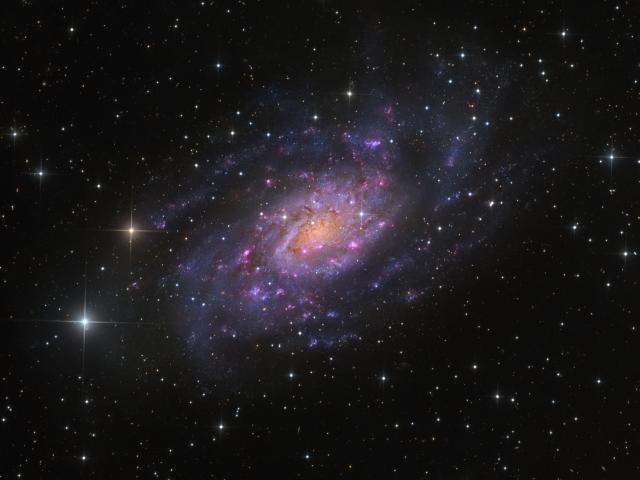 NGC 2403 in Camelopardalis