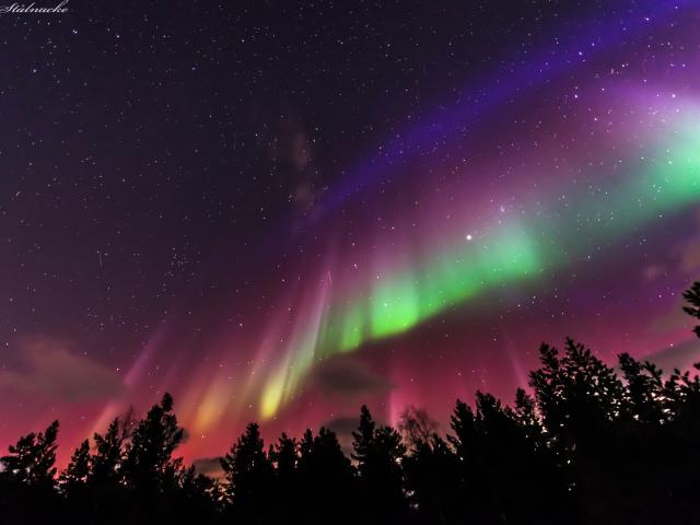 A Flag Shaped Aurora over Sweden