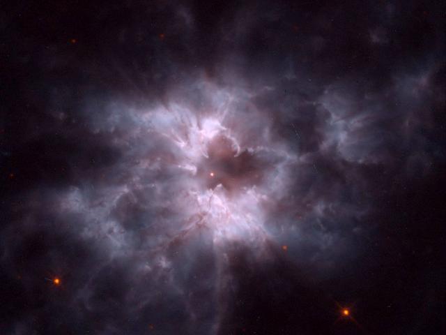 NGC 2440: Pearl of a New White Dwarf