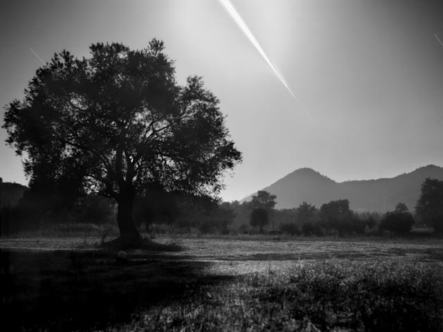 The Moon Entering Earth’s Shadow