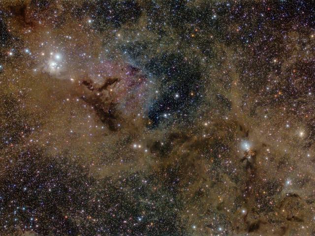 Stardust in Perseus