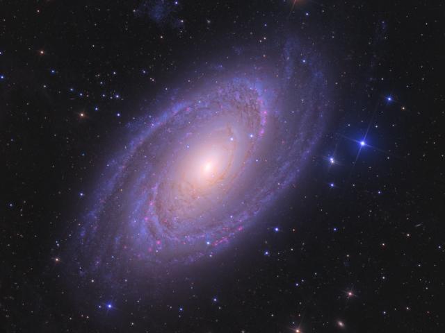 Bright Spiral Galaxy M81