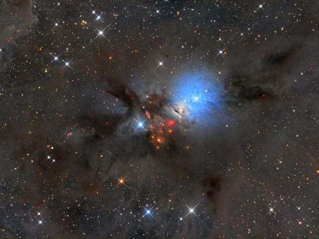NGC 1333: Stellar Nursery in Perseus