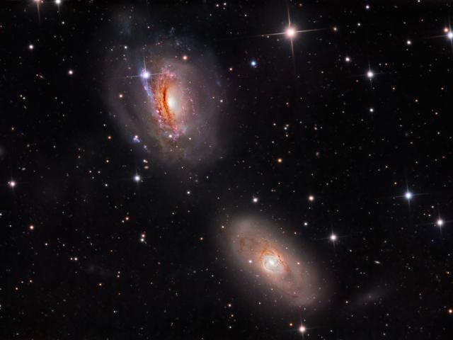 Unraveling NGC 3169