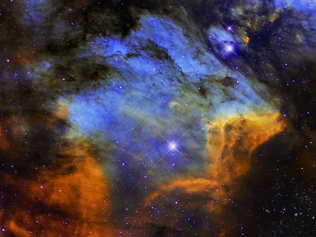 The Pelican Nebula in Gas Dust and Stars