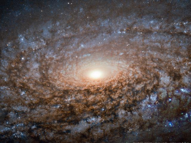 In the Center of Spiral Galaxy NGC 3521