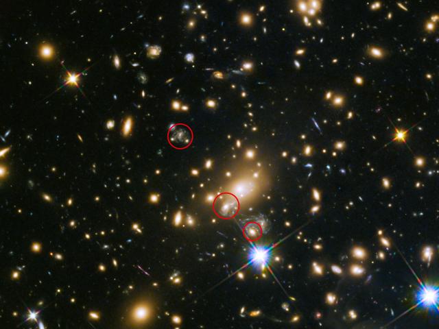 SN Refsdal: The First Predicted Supernova Image