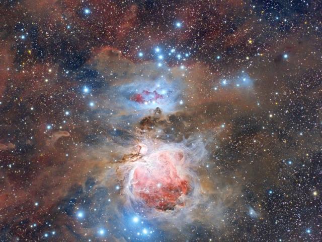 Dust of the Orion Nebula