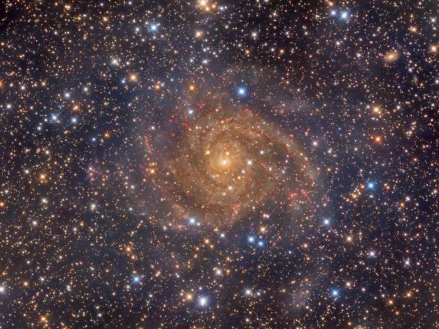 Hidden Galaxy IC 342