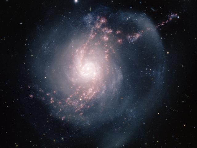 NGC 3310: A Starburst Spiral Galaxy