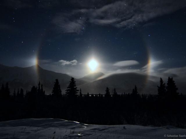 Alaskan Moondogs