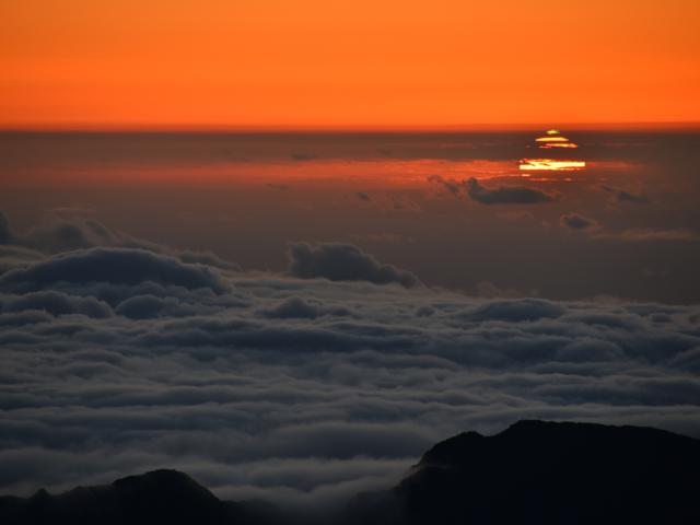 A Green Flash of Spring