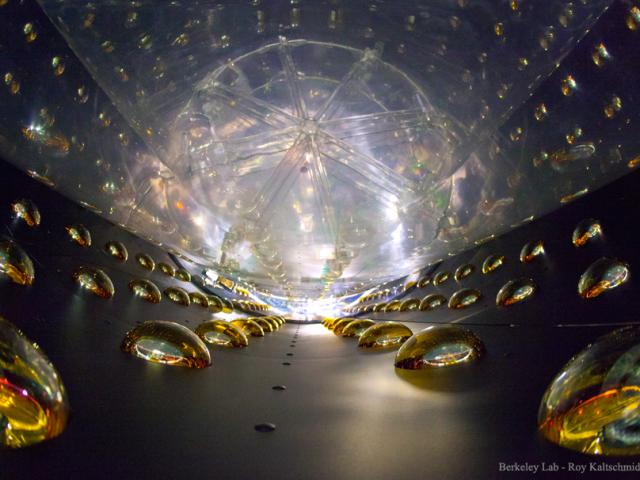 Inside a Daya Bay Antineutrino Detector