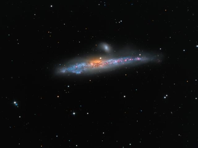 NGC 4631: The Whale Galaxy