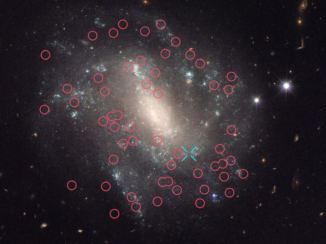 The Supernova and Cepheids of Spiral Galaxy UGC 9391
