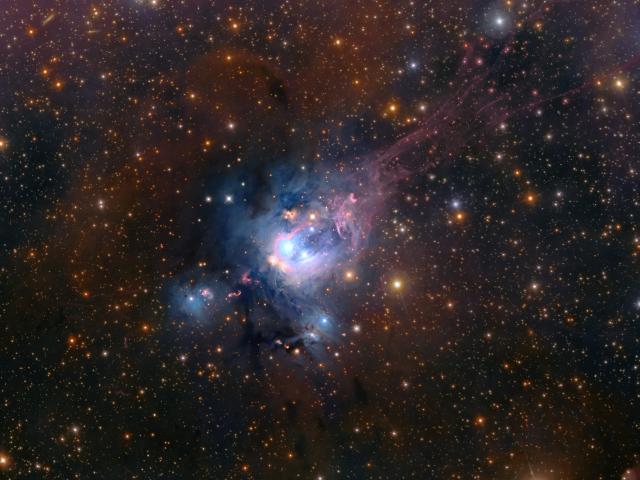 Young Suns of NGC 7129