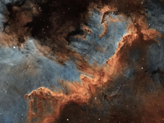 The Cygnus Wall of Star Formation