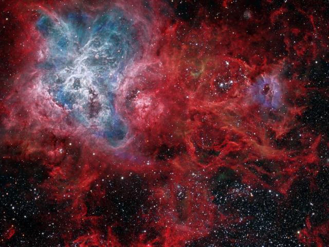 The Cosmic Web of the Tarantula Nebula