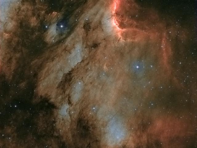 IC 5070: A Dusty Pelican in the Swan