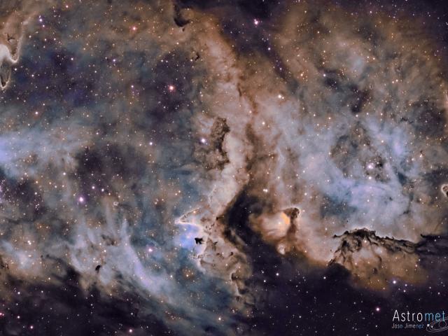 W5: The Soul of Star Formation