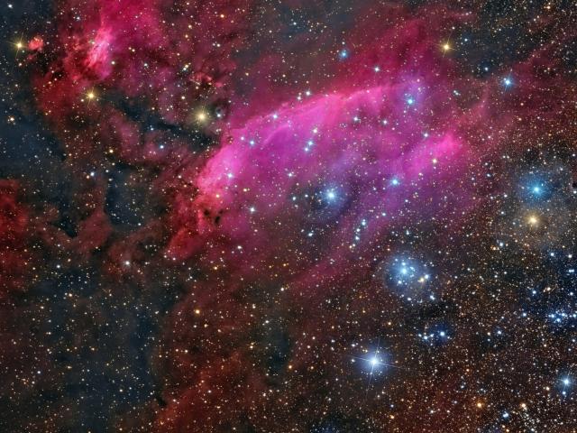 IC 4628: The Prawn Nebula