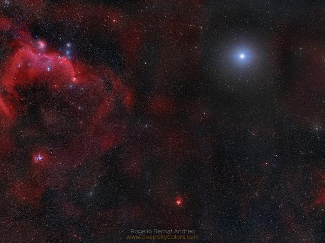 Seagull to Sirius