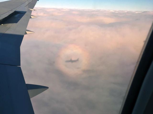 An Airplane Glory